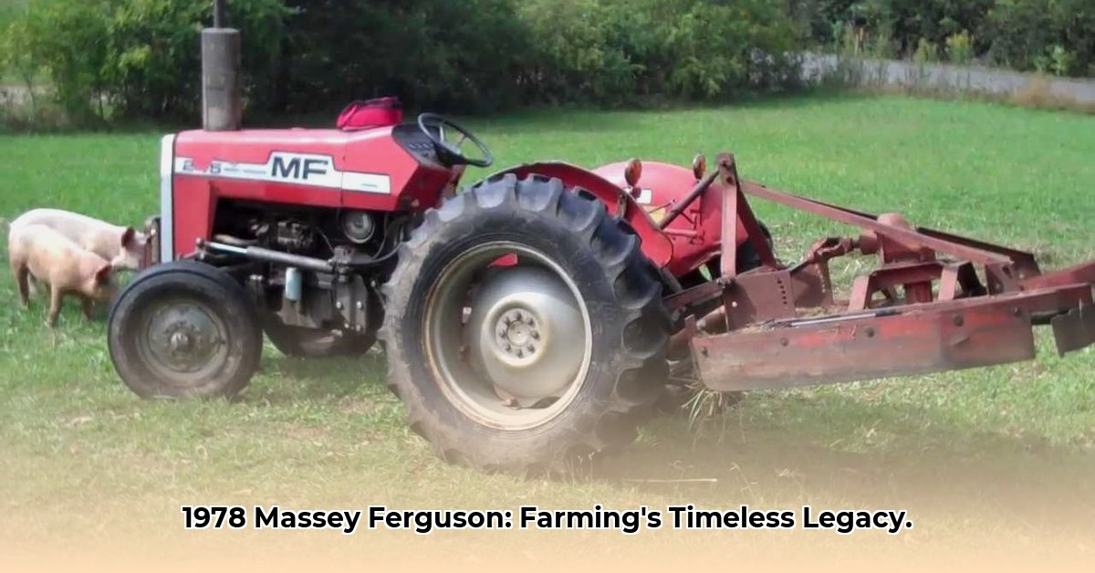 1978-massey-ferguson-tractor